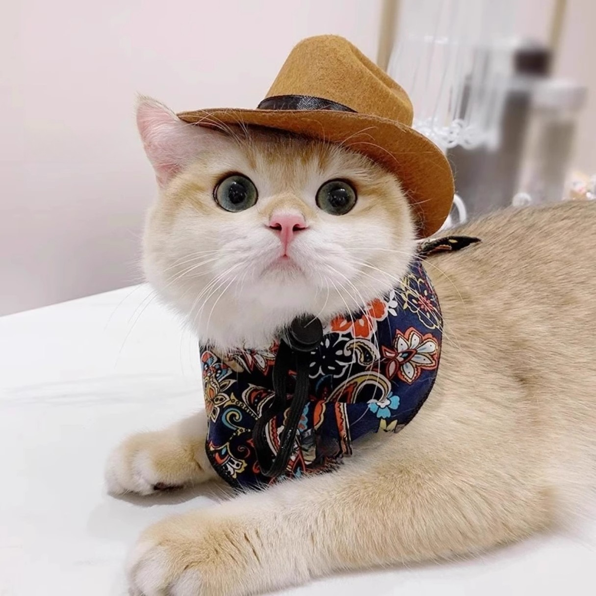  Cat Cowboy Hat Pet Head Acce - Cowboy Hat Straw avaliação e preço